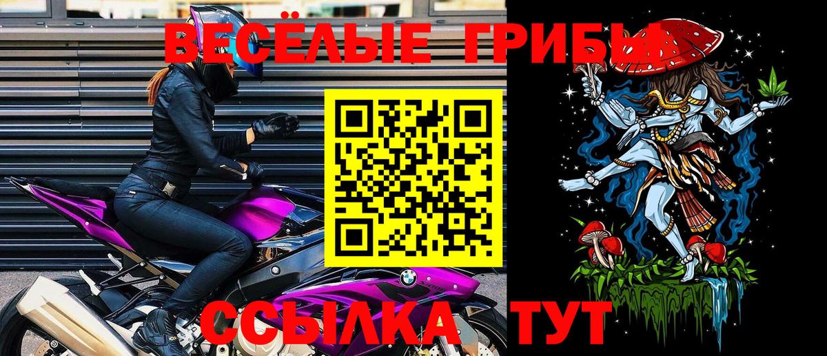 Псилоцибиновые грибы мицелий Ростов Великий