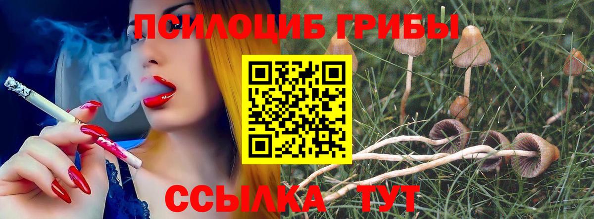 Псилоцибиновые грибы GOLDEN TEACHER  Вход с VPN  Ростов Великий  Псилоцибиновые грибы мицелий 